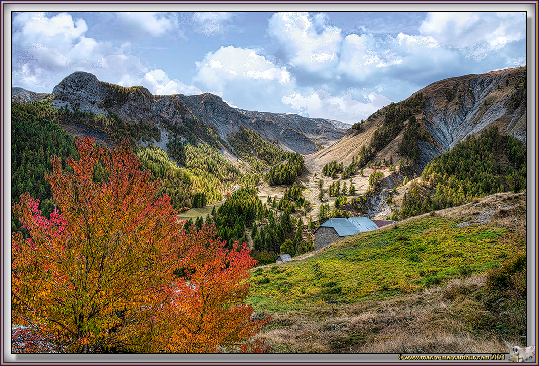 Vallon de l'Alpe
