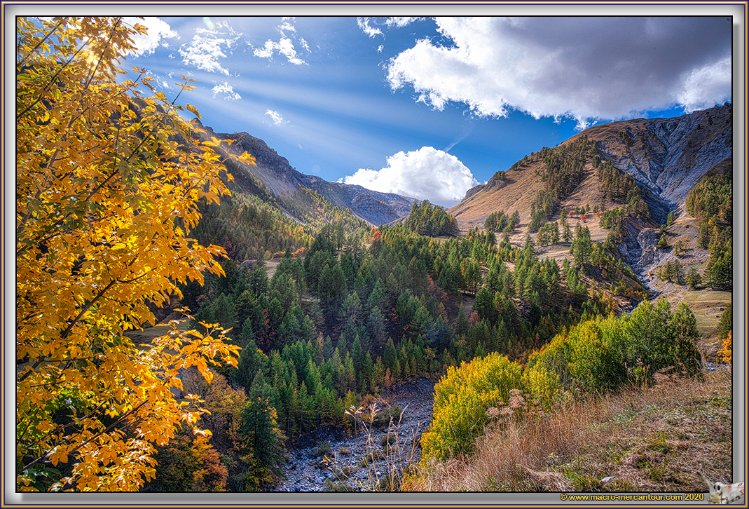 Vallon de l'Alpe