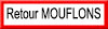 Retour Mouflons