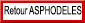 Retour page Asphodèles