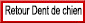 Retour Erythrone dent de chien