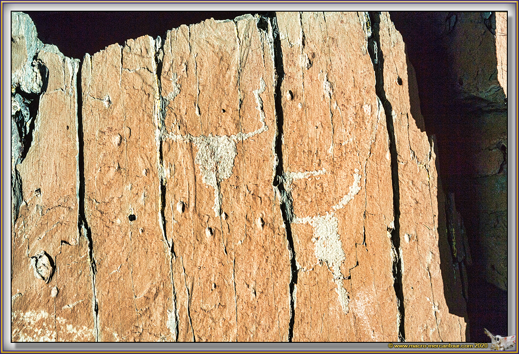 Gravures rupestres du Mont Bego