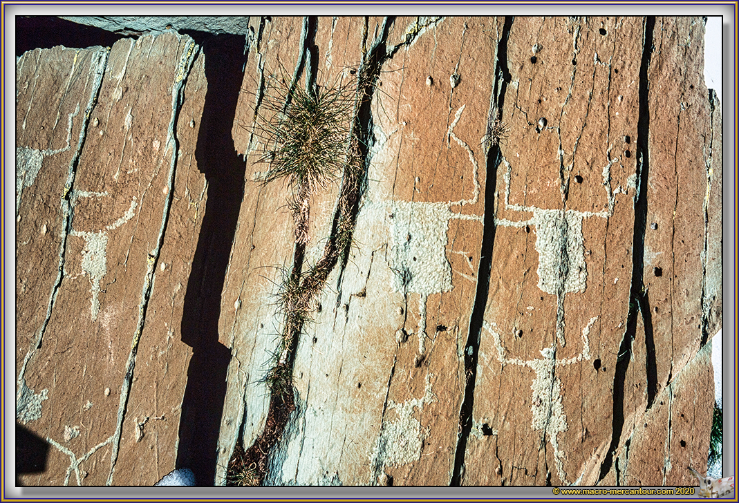Gravures rupestres du Mont Bego