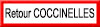 Retour Coccinelle