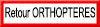 Retour Orthoptères