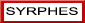 Retour Syrphes