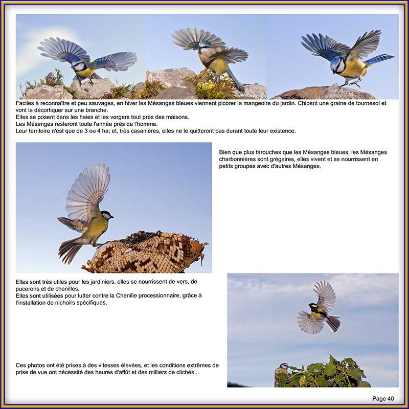 PAGE 40