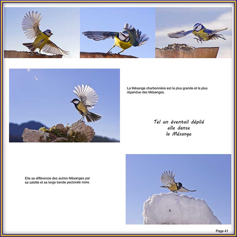 PAGE 41