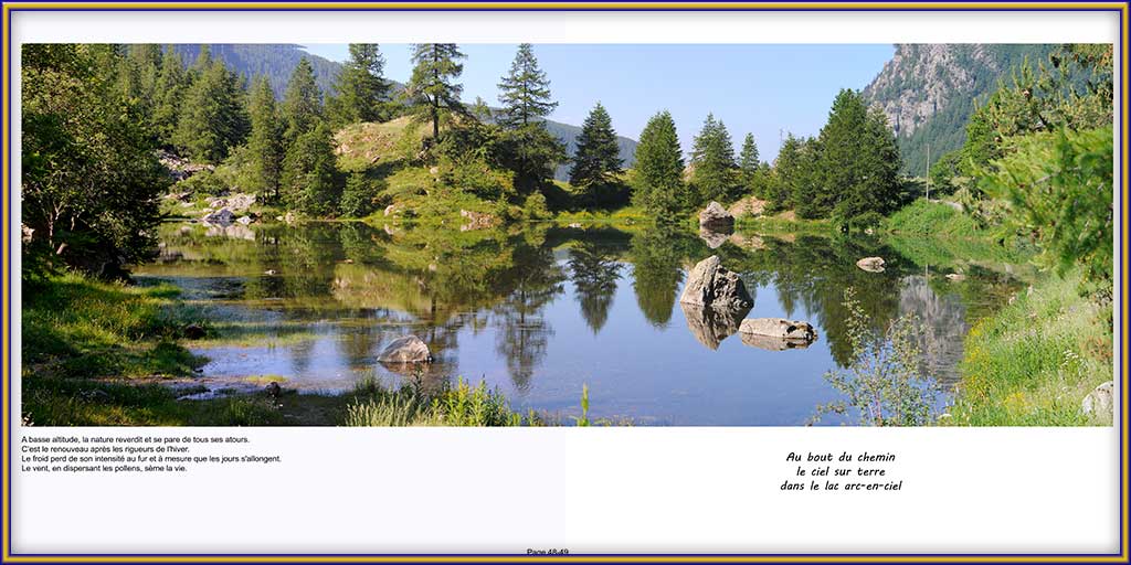 PAGE 48-49