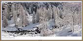 Le Mercantour Grandeur Nature
