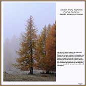 Le Mercantour Grandeur Nature